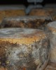 Pecorino Umbro Etrusco Stagionato in Fossa con Tartufo 300 g - stagionato 360 giorni - Caseificio Facchini