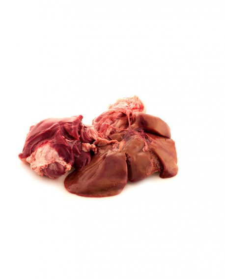 Coratina di Agnello 1 kg - Tenuta Luchetti