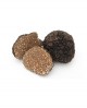 Tartufo Uncinato Autunnale Fresco - dal 1 Ottobre al 31 Gennaio - 500g - medio - Tuber Uncinatum Ch. - Tartufi Alfonso Fortunati