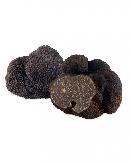 Tartufo Nero Pregiato Fresco - dal 1 Dicembre al 15 Marzo -  1000g - medio -Tuber Melanosporum Vitt. - Tartufi Alfonso Fortunati