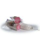 Salame ungherese 1,8 kg Salumificio Ciliani