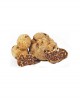 Tartufo Bianchetto Fresco - dal 15 Gennaio al 15 Aprile - 1000g - medio - Tuber Borchii Vitt. - Tartufi Alfonso Fortunati