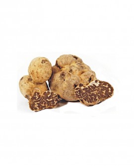 Tartufo Bianchetto Fresco - dal 15 Gennaio al 15 Aprile - 1000g - medio - Tuber Borchii Vitt. - Tartufi Alfonso Fortunati