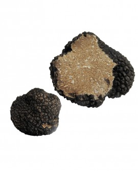 Tartufo Scorzone o Fresco d'Estate - dal 1 Giugno al 31 Agosto - 1000g -medio - Tuber Aestivum Vitt. - Tartufi Alfonso Fortunati